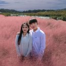 뮬리Muhly