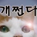 강변와이어주짓수