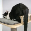 주식회사 오디야 이미지