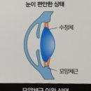 디지털114 네이버블로그