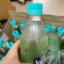 [더 빅토리아 탄산수] 초록매실 맛 청포도 맛 내돈내산 후기 맛 종류부터 추천까지