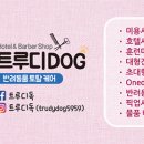 트루디독 이미지