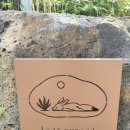 레이즈어라운드 이미지