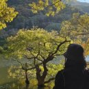 봄여름가을이야기 이미지