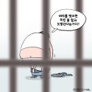 'Netizen 시사만평(時事漫評)'떡메' '2025. 08. 04'(월) 이미지