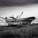 푸른바다약국 이미지