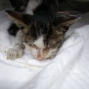 대도식당 앞 이미지