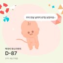 은평성모병원 산부인과 전원 후기｜전원 서류부터 25주 임당검사까지