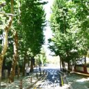 여의나루로2길 이미지