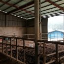 장흥목장 이미지