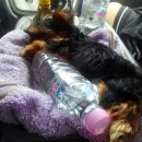 메모리펜션 이미지