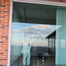 스테이평해 이미지