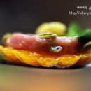 과일콕