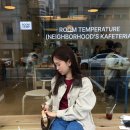 [앳마이핑거팁] Ark Suede Brown Small 후기 (아크 스웨이드 백, 스웨이드백 추천)
