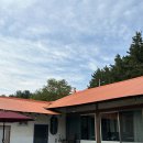 수산항민박 | [숙소후기:에어비앤비]양양 애견동반가능 한적한...가능 마당부터 숙소 건물 전체 사용가능한 수산항민박