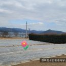 자원부동산중개사무소 이미지