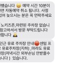 안쵸비(Anchovy) 이미지