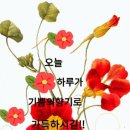 암소한마리 이미지