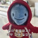 중앙칼라 네이버블로그