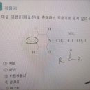 문제로 배우는 변리사 화학 유기화학 부분 질문드립니다! 이미지