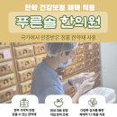 푸른솔한의원 이미지