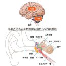 소뇌(평형감각)를 단련하는 승마 체조 이미지