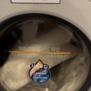 제일빨래방 | 카페트 세탁 방법 | 대형 러그 집에서 하다 코인빨래방 간 후기 (이씨라메종 올리 러그)