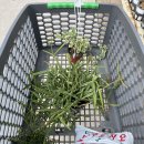 우리농약사 이미지