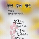 ♤밤에, 읽는 조선왕조실록 &#34;夜&#34;사ㅡ27♧ 이미지