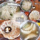 세븐일레븐 고양벽제본점 | 자극적이지 않은 깊은 맛 '덕이원조국수 일산본점' 솔직후기 부모님 모시고 가기 좋은 곳 백반기행 맛집