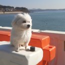 충남민박 이미지