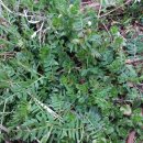 청전농장 이미지