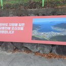 딩동당동 이미지