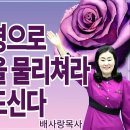 26-02-15 에스더의 영으로 하만의 영을 물리쳐라 환경을 흔드신다 [주일영광예배] 이미지