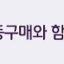 버드시아 이미지