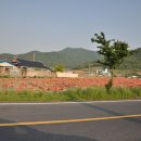 완도읍-5 Daum카페