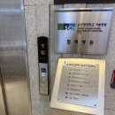 수지미래산부인과 정밀초음파 후기, 임산부 간수치 재검 내과 : 23w4d