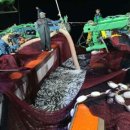 자원목장 이미지