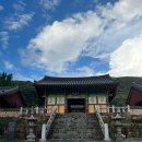 불갑사 | (사찰) 불갑사 후기