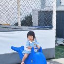 하플로스 키즈&풀빌라 이미지