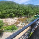 밸리하우스펜션 | 충북 괴산 쌍곡계곡, 평상 대여해주는 밸리하우스펜션 솔직후기