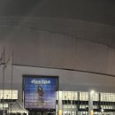 Dua lipa 내한 공연 radical optimism tour seoul 후기 ｡° (°´ᝪ`°) °｡ 섹시흑표범의 차력쇼