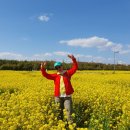 대저생태공원 이미지