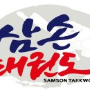 삼손태권도 이미지