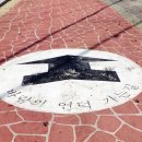 마로니에민박 이미지