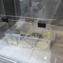 참좋은동물병원 이미지