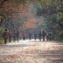 남산길 이미지