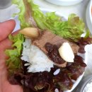 용평복지회관 | 대관령 횡계 맛집 &#39;금천회관&#39; 물갈비 먹부림