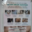 비비테라 이미지
