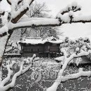 서정적인 이미지